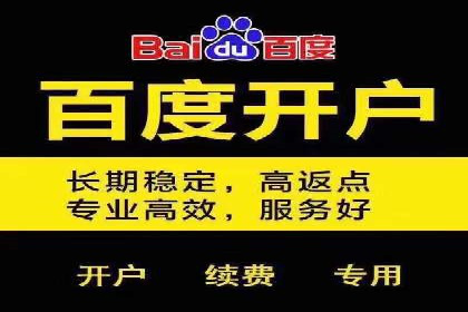 电商平台SEM推广的全过程解析