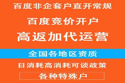 竞价推广公司经典案例：打造行业领先的广告投放效果